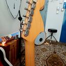 Custom Stratocaster Hardtail Reverse (Piornos Guitars)