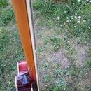 Kytara    Rex Archtop (Graubner 1960)