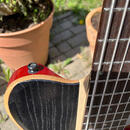 Ibanez BTB 846 SC