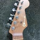 Charvel Pro Mod  DK 24 2 PT HH
