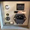Flea 47