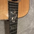 Taylor 910e / R.V 2014 / DREADNOUGHT /
