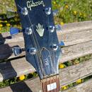 1970' Gibson SG Standard - možná výměna za Ford Focus