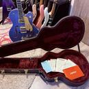 PRODÁM/VYMĚNÍM: Gretsch Falcon (Cerulean Smoke)