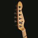 Stratocaster marcus Jurkovič