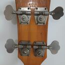Gibson Ripper 1974