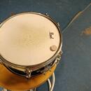 Snare Pearl