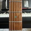 Stratocaster Sire Larry Carlton