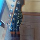 Miles guitars steelcaster