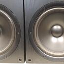 Genelec 1031 A - Legenda jde do světa.....