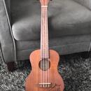 ukulele Ortega RU5MM-TE + obal