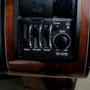TAKAMINE GD30CE 12 str.