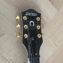 Znížená cena - Gretsch G6120BK Chet Atkins Hollowbody