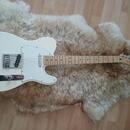 Fender Telecaster Standard Artic White 09/2016