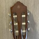 Acoustic Guitar Yamaha C40