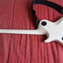 Washburn PXL20EWH Parallaxe