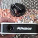 Predám Fishman Aura Spectrum DI