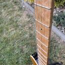 Ernie Ball Musicman Axis