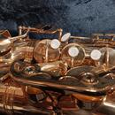 Alt saxofon C. G. Conn  AS650