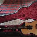 Tasman TA 200-GS-CE