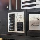 Hohner Clavinet Pianet Duo