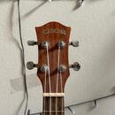 Elektroakustické tenorové ukulele s příslušenstvím