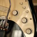 Prodávám kytaru Fender Stratocaster