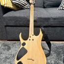 Ibanez RGDIX6PB Iron Label