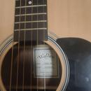 Walden Guitars