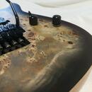 Kytara Schecter Reaper-6FR