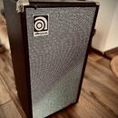 Ampeg SVT-210AV