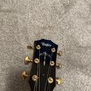 Taylor 910e / R.V 2014 / DREADNOUGHT /