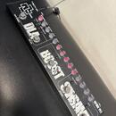 Tech 21 SansAmp FlyRigPL1 Paul Landers