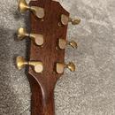 Taylor 910e / R.V 2014 / DREADNOUGHT /