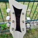 Kytara    Rex Archtop (Graubner 1960)