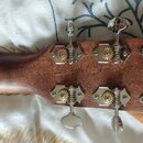 Fender Parlor Paramount