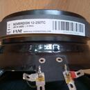 Fane Sovereign 12", 250W, 8 ohm, 100dB