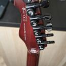 LTD TE-200 Tobacco Sunburst + TOP Upgrady