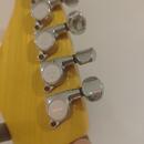 Frankenstrat