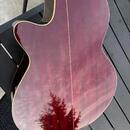 Kytara Takamine G Series EG260C-WR