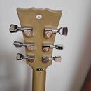Harley Benton HB -35 Plus