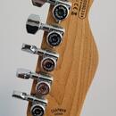 Chapman Guitars ML1 Pro X