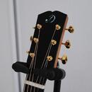 Dowina Master Series Indian Rosewood Selection DLX OMG