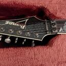 Ibanez rgt 42,Korea, Top stav