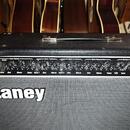 LANEY LV300