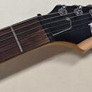Washburn RX10