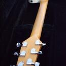 Godin Radiator Ivory 1999