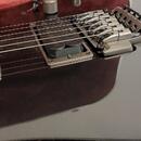 Ibanez rgt 42,Korea, Top stav