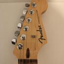 Fender Standard Stratocaster LRL 3TS