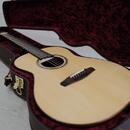 Dowina Master Series Indian Rosewood Selection DLX OMG
